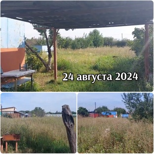 ДАЧА 2024