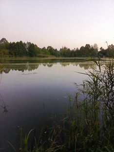 Подборка коротких видео