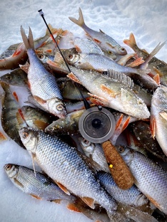 ЗИМНЯЯ РЫБАЛКА