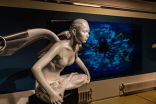 Музеи и выставки России