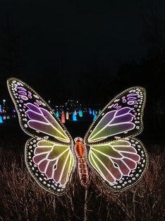 Чудеса в парке Галицкого.