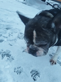 видео про животных 🐾 3 часть