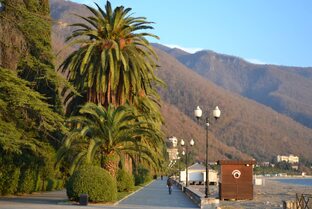 Путешествия