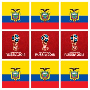 2018 ECUADOR EN LAS ELIMINATORIAS RUSSIA 2018