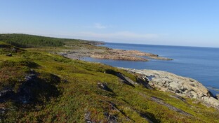 Белое море 2025 год.