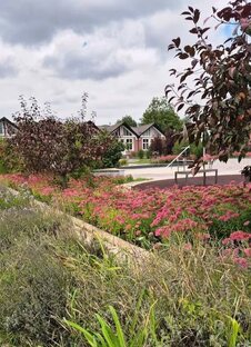 Куда сходить 