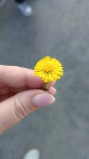 немного позитива в картинках 