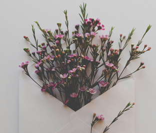 Ингредиенты