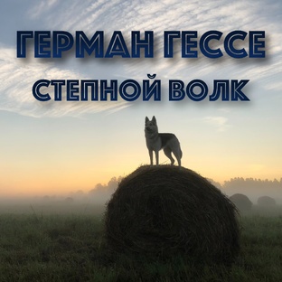 ГЕРМАН ГЕССЕ "СТЕПНОЙ ВОЛК"