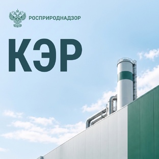 КЭР: комплексное экологическое разрешение