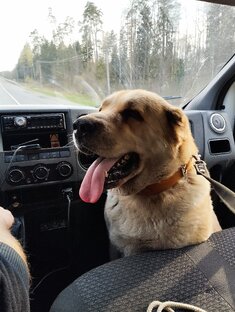 Наша Гуняша🐕‍🦺