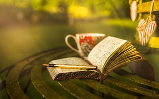 По страницам книг...