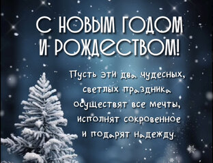 Новый год и Рождество!