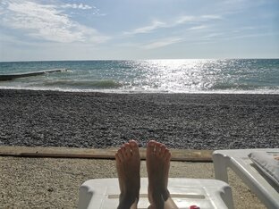 "ЧАЙКА ИМЕНИ ГЕЛЛИЛОВИЧЕЙ.2020/2021 года. Крым. Заозёрное.