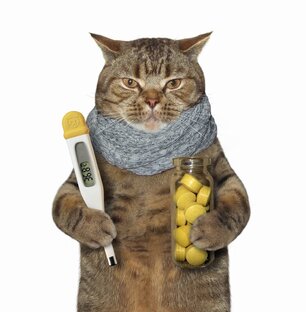 Простуда: факты и мифы