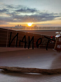 Альбом идиот