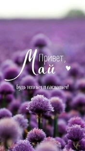 Май🌺