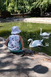 Психология ребёнка