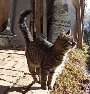 милота🥰