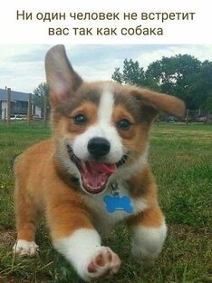 СМЕШНЫЕ СТРОЧКИ