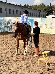 Лошади