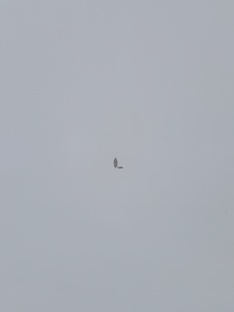 Мои истории