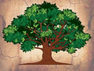 Что такое Родовое дерево и зачем оно нужно?