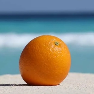 Море