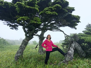 Курильские острова. Остров Шикотан