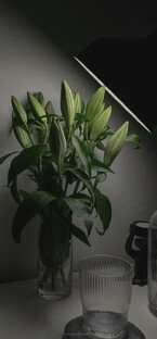 Просто рассказы