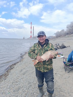 Ловим сазана 