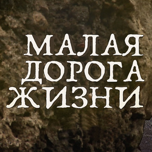 цикл "Мала дорога жизни"