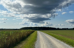 Гравитация прошлого