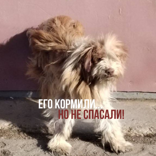 Себастьян