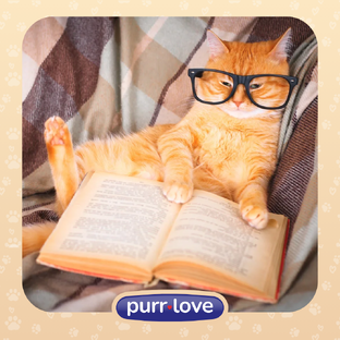 Интересные факты