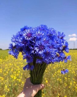 Список иноагентов = достойные люди России 