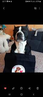 Красота и стиль