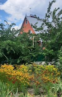 Счастье любит тишину (🎧 аудио)