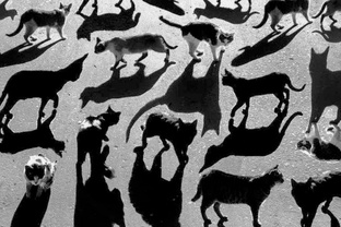 Психология 