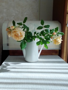 Августа-Луиза