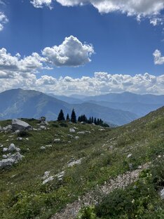 Путешествия 