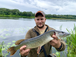 Щуки на воблера! 