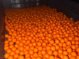 Производство