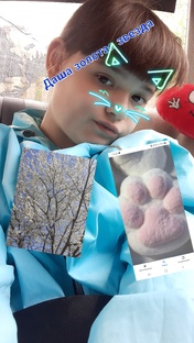 🐾🦄🐭🐱Д    А    Ш     А 🐱🐭🦄🐾