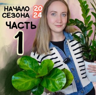 Начало сезона 2024