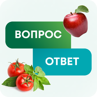 Вопрос - Ответ