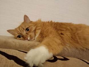 Подборка видео