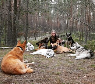 Заметки кинолога