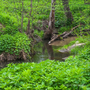 Неизвестная река Елань
