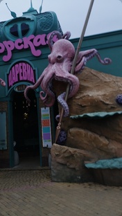 Откуда это фото?